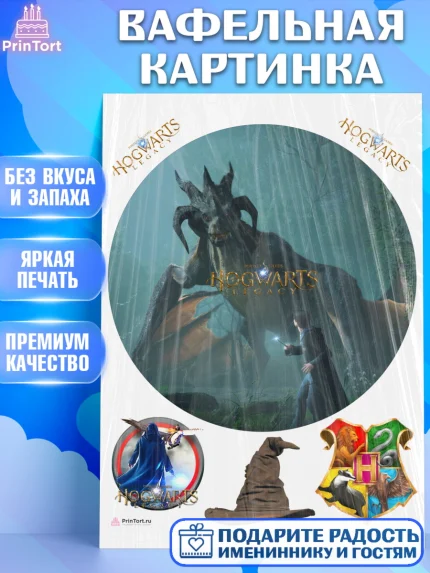 Вафельная картинка, Гарри Поттер, Хогвартс Легаси, Девочка, День рождения, арт. PT209673