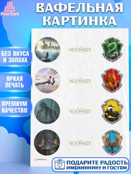 Вафельная картинка, Гарри Поттер, Хогвартс Легаси, Девочка, День рождения, арт. PT209674