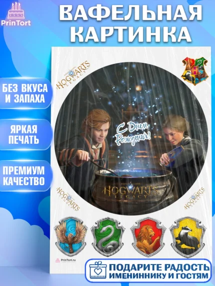 Вафельная картинка, Гарри Поттер, Хогвартс Легаси, Девочка, День рождения, арт. PT209675
