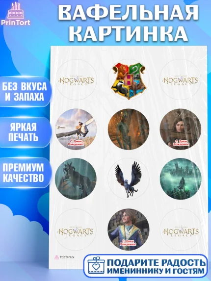 Вафельная картинка, Гарри Поттер, Хогвартс Легаси, Девочка, День рождения, арт. PT209676