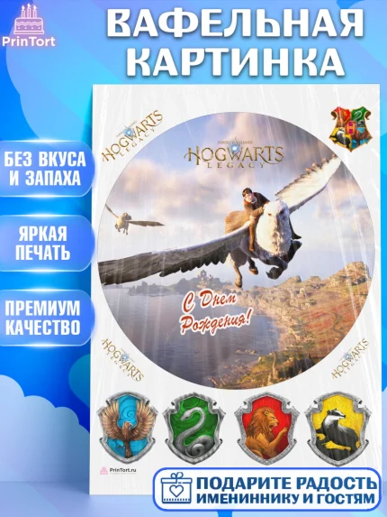 Вафельная картинка, Гарри Поттер, Хогвартс Легаси, Девочка, День рождения, арт. PT209677