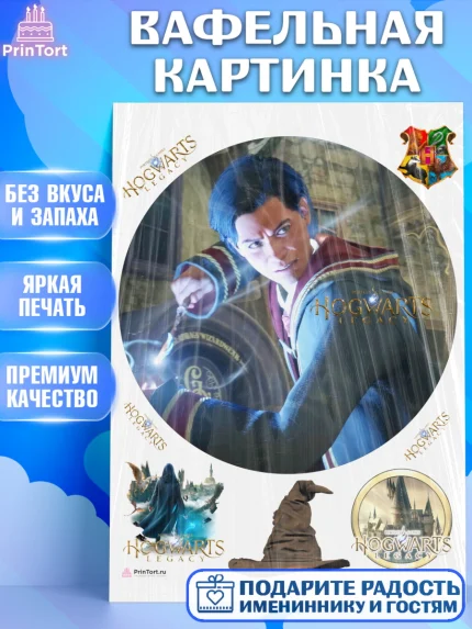Вафельная картинка, Гарри Поттер, Хогвартс Легаси, Девочка, День рождения, арт. PT209679