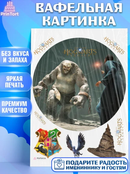 Вафельная картинка, Гарри Поттер, Хогвартс Легаси, Девочка, День рождения, арт. PT209681