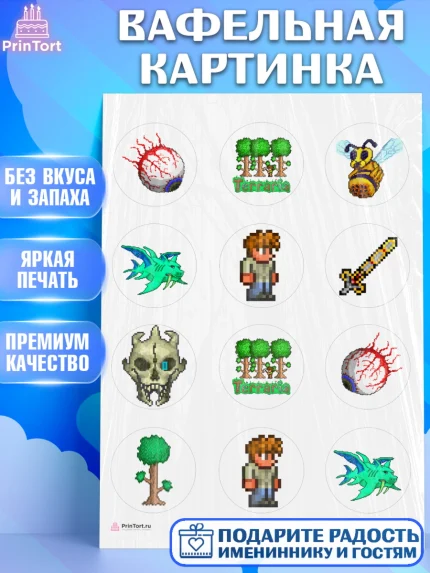 Вафельная картинка, Террария, Terraria, Девочка, День рождения, арт. PT209722