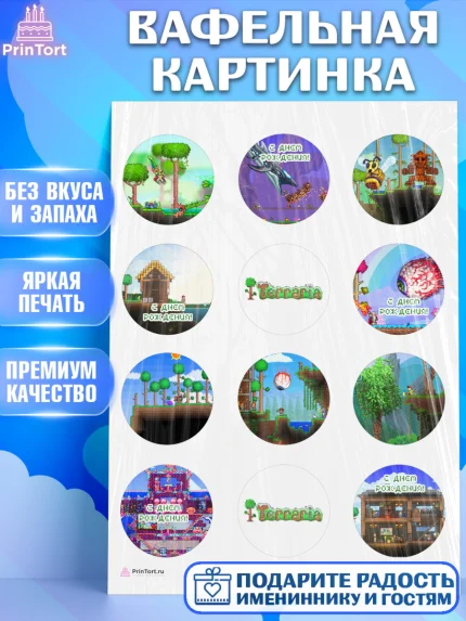 Вафельная картинка, Террария, Terraria, Девочка, День рождения, арт. PT209726