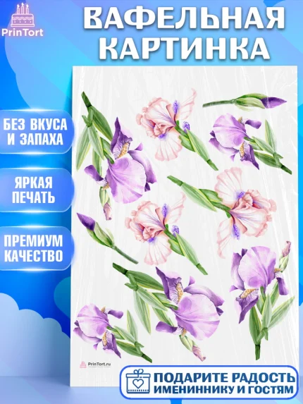 Вафельная картинка, День Свадьбы, Девушка, Свадьба, арт. PT210008