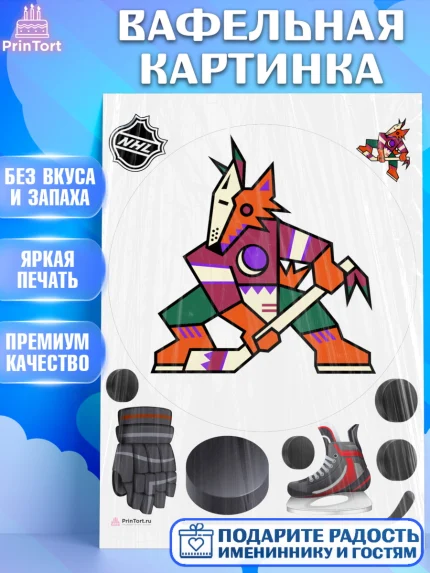 Вафельная картинка, НХЛ, Хоккей, Мальчик, День рождения, арт. PT210110
