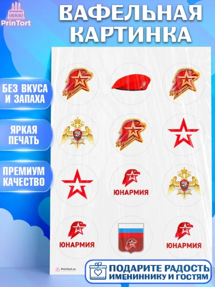 Вафельная картинка, Юнармия, Девочка, День рождения, арт. PT210310