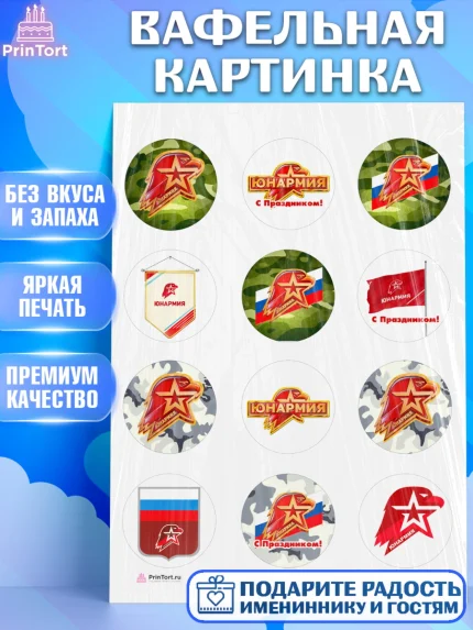 Вафельная картинка, Юнармия, Девочка, День рождения, арт. PT210319