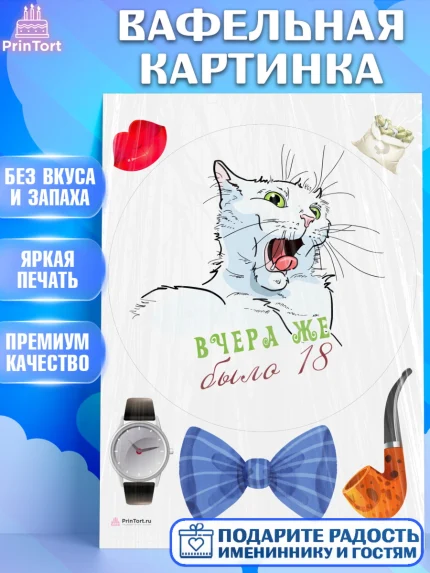 Вафельная картинка, Девушке, Вчера же было 18, Девочка, День рождения, арт. PT210644
