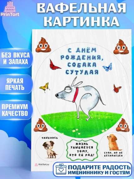 Вафельная картинка, Прикольные, Собака сутулая, Девочка, День рождения, арт. PT210715
