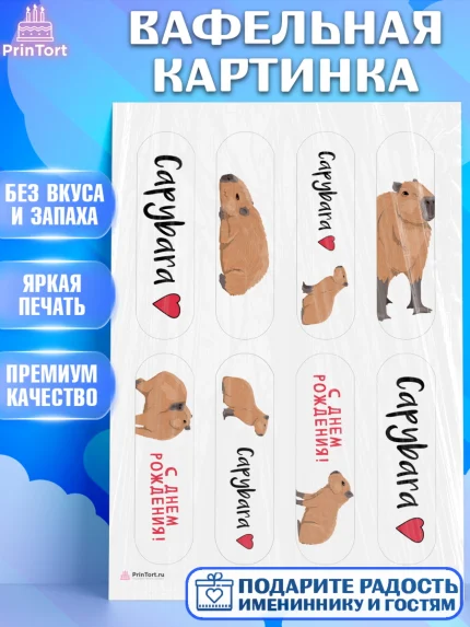 Вафельная картинка, Капибара, Девочка, День рождения, арт. PT211024