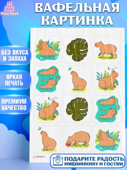Вафельная картинка, Капибара, Девочка, День рождения, арт. PT211025