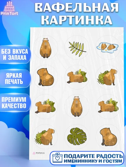 Вафельная картинка, Капибара, Девочка, День рождения, арт. PT211026