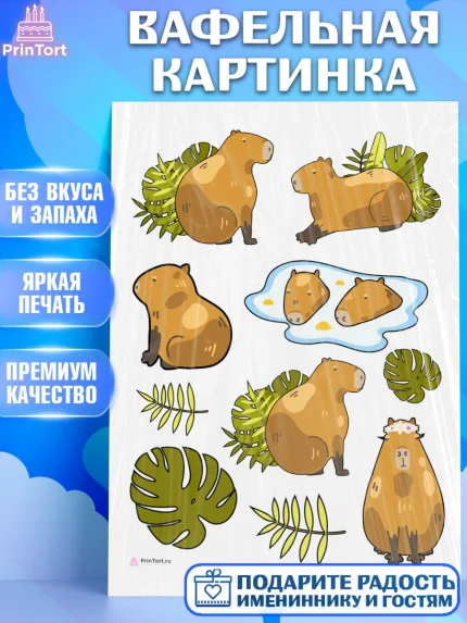 Вафельная картинка, Капибара, Девочка, День рождения, арт. PT211027