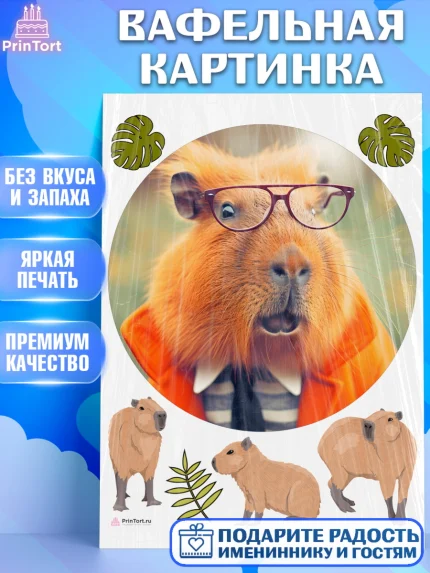 Вафельная картинка, Капибара, Девочка, День рождения, арт. PT211028