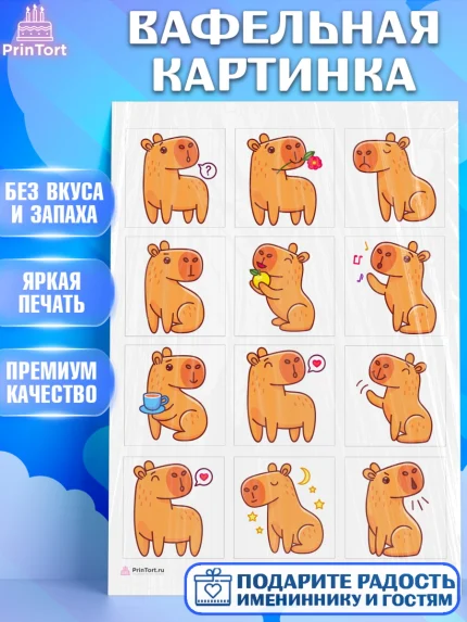 Вафельная картинка, Капибара, Девочка, День рождения, арт. PT211029