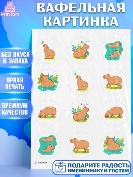 Вафельная картинка, Капибара, Девочка, День рождения, арт. PT211030