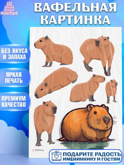 Вафельная картинка, Капибара, Девочка, День рождения, арт. PT211031