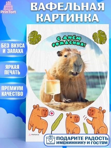 Вафельная картинка, Капибара, Девочка, День рождения, арт. PT211032