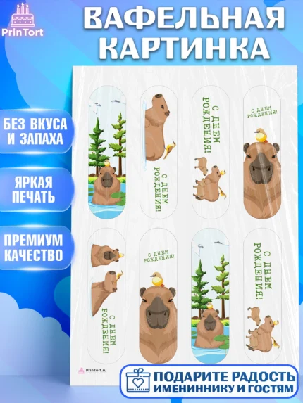 Вафельная картинка, Капибара, Девочка, День рождения, арт. PT211033