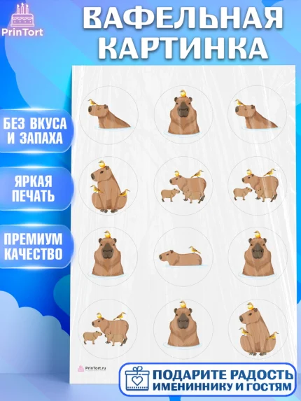 Вафельная картинка, Капибара, Девочка, День рождения, арт. PT211034