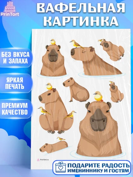 Вафельная картинка, Капибара, Девочка, День рождения, арт. PT211035