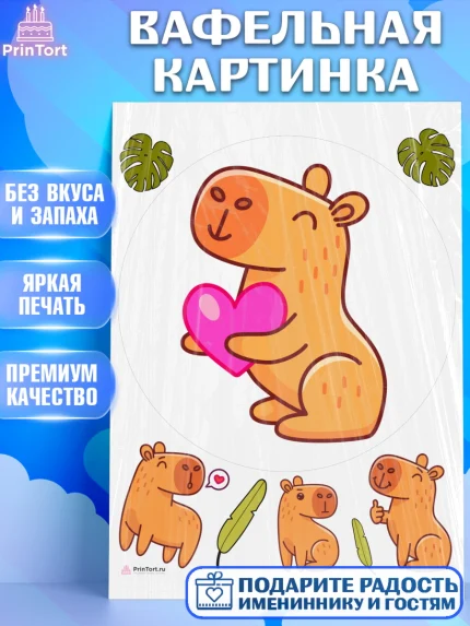 Вафельная картинка, Капибара, Девочка, День рождения, арт. PT211036