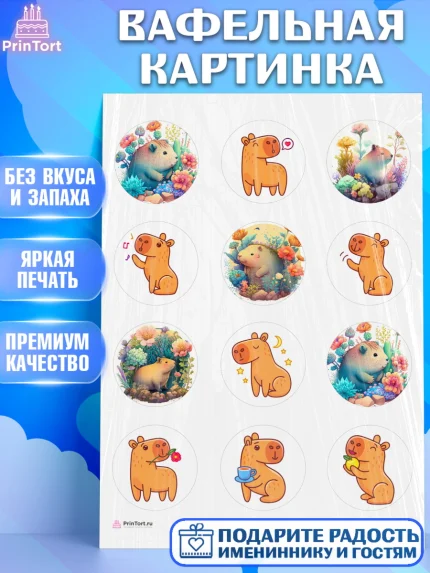 Вафельная картинка, Капибара, Девочка, День рождения, арт. PT211037