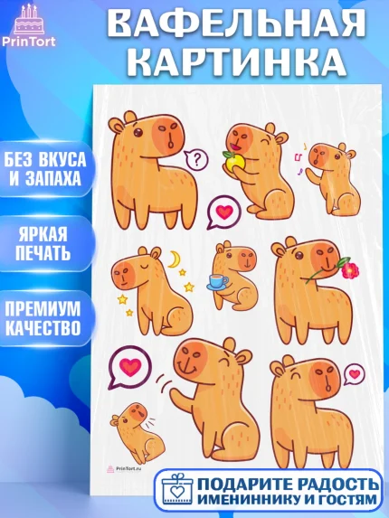Вафельная картинка, Капибара, Девочка, День рождения, арт. PT211038