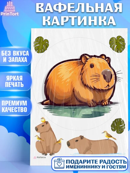 Вафельная картинка, Капибара, Девочка, День рождения, арт. PT211039