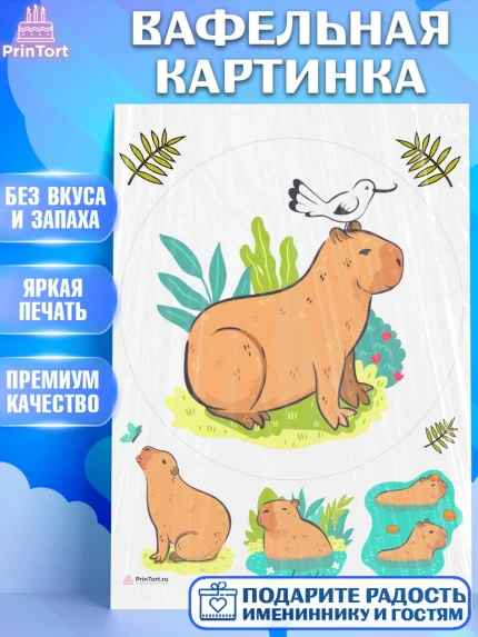 Вафельная картинка, Капибара, Девочка, День рождения, арт. PT211041