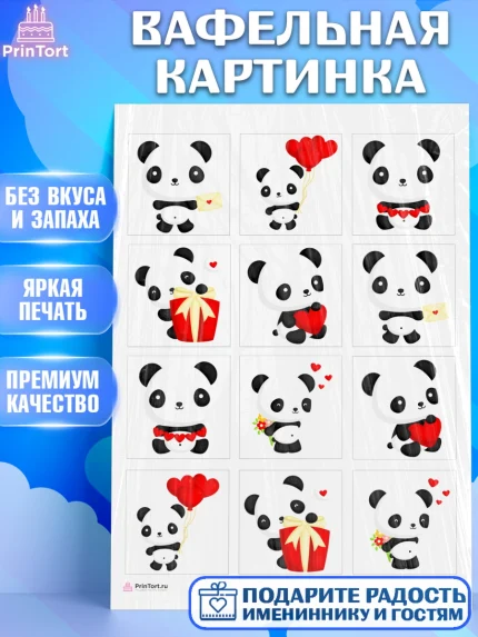 Вафельная картинка, Панда, Животные, Девочка, День рождения, арт. PT211411