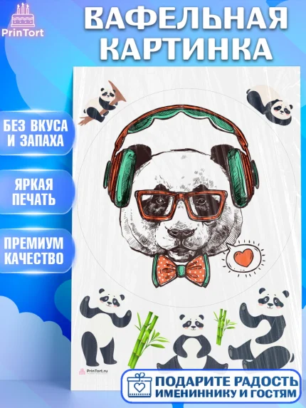 Вафельная картинка, Панда, Животные, Девочка, День рождения, арт. PT211414