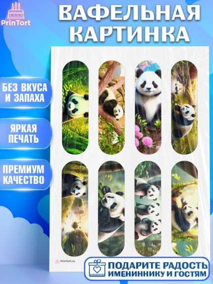 Вафельная картинка, Панда, Животные, Девочка, День рождения, арт. PT211415