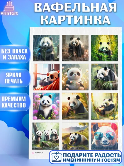 Вафельная картинка, Панда, Животные, Девочка, День рождения, арт. PT211417