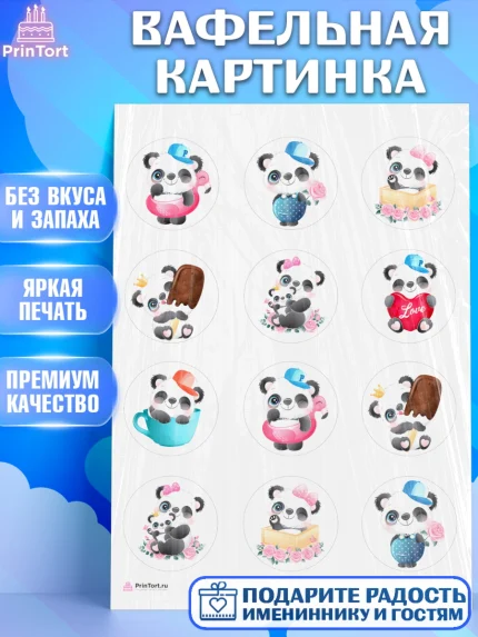 Вафельная картинка, Панда, Животные, Девочка, День рождения, арт. PT211418