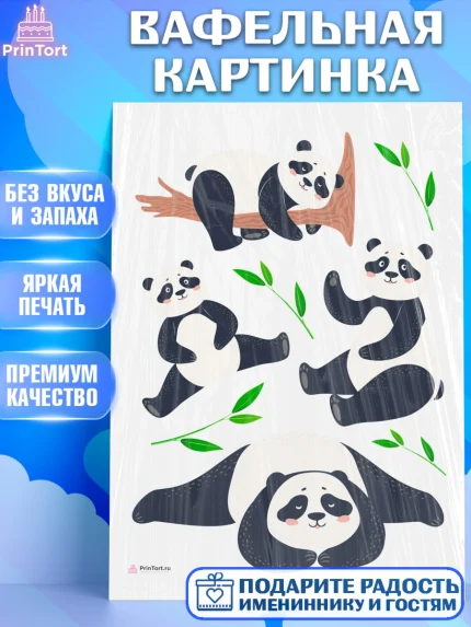 Вафельная картинка, Панда, Животные, Девочка, День рождения, арт. PT211419