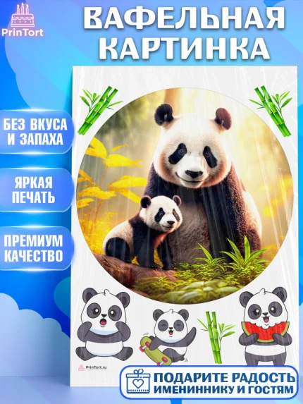 Вафельная картинка, Панда, Животные, Девочка, День рождения, арт. PT211423