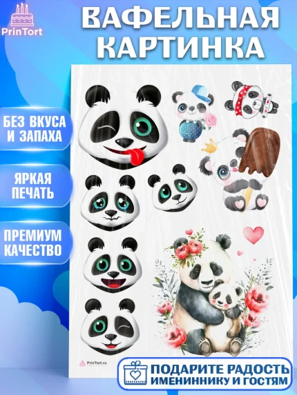 Вафельная картинка, Панда, Животные, Девочка, День рождения, арт. PT211425