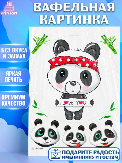 Вафельная картинка, Панда, Животные, Девочка, День рождения, арт. PT211427