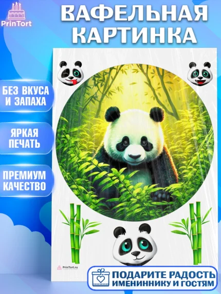 Вафельная картинка, Панда, Животные, Девочка, День рождения, арт. PT211429