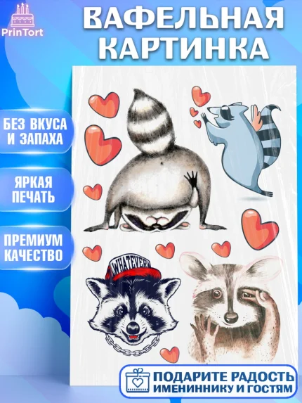 Вафельная картинка, Енот, Животные, Девочка, День рождения, арт. PT211431