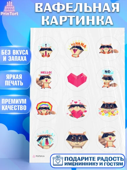 Вафельная картинка, Енот, Животные, Девочка, День рождения, арт. PT211432