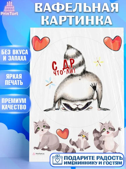 Вафельная картинка, Енот, Животные, Девочка, День рождения, арт. PT211434