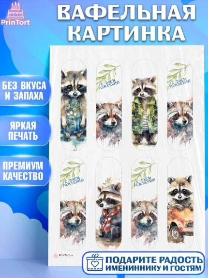 Вафельная картинка, Енот, Животные, Девочка, День рождения, арт. PT211435