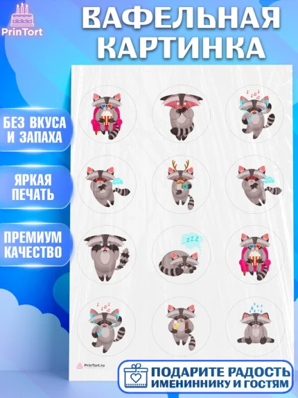 Вафельная картинка, Енот, Животные, Девочка, День рождения, арт. PT211437