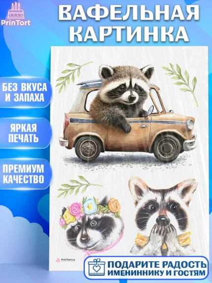 Вафельная картинка, Енот, Животные, Девочка, День рождения, арт. PT211438