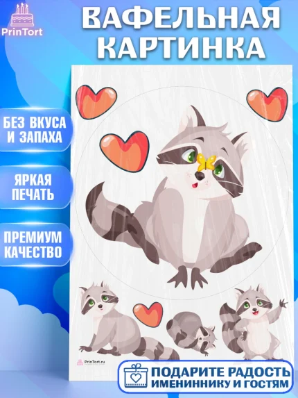 Вафельная картинка, Енот, Животные, Девочка, День рождения, арт. PT211439