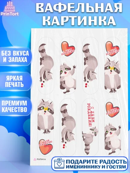 Вафельная картинка, Енот, Животные, Девочка, День рождения, арт. PT211440